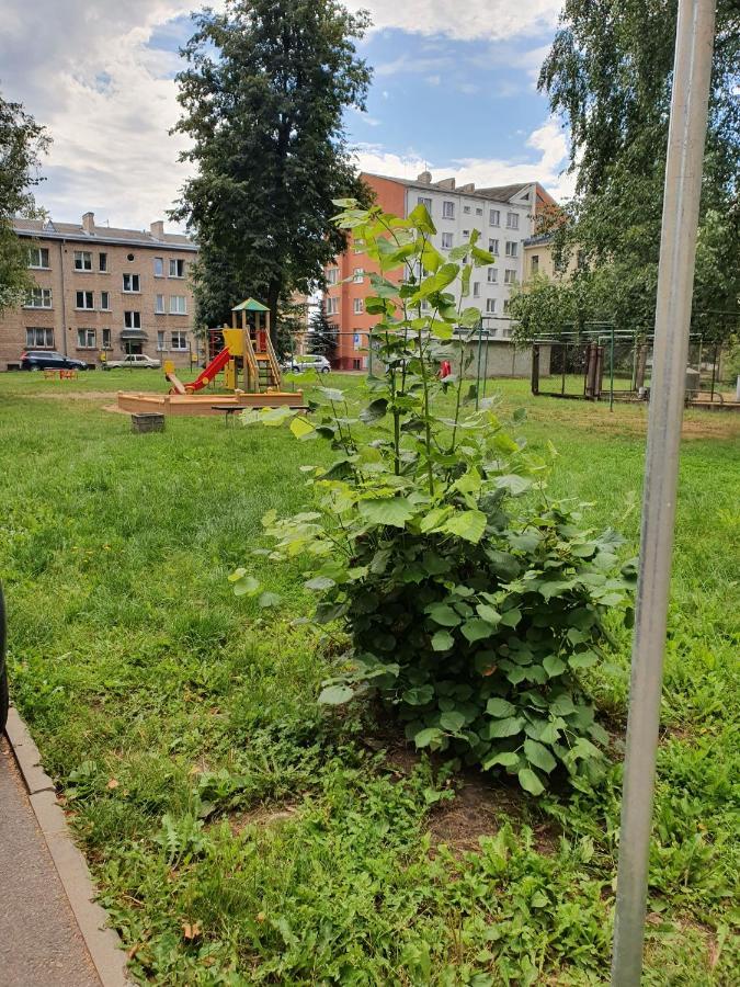 Apartament Erfolg 6 Daugavpils Luaran gambar